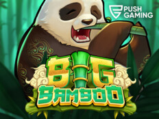 Casino bedava slot oyunları53